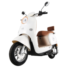五星钻豹电动摩托车60V20AH电瓶车1200W大功率成人外卖车长续航电动车G3 梦幻冰雪白