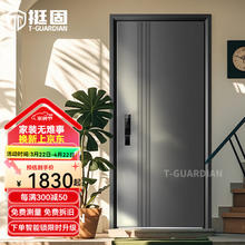 挺固 甲级防盗门 2050*960 氟碳灰 机械锁