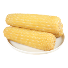 新鲜白糯玉米真空包装 4棒 180g-200g/棒