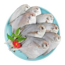 纯色本味 舟山口袋鲳 700g