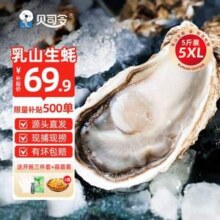 贝司令 乳山牡蛎鲜活生蚝 5XL号 净重5斤（8+只装）*2件 送开蚝3件套+蒜蓉酱