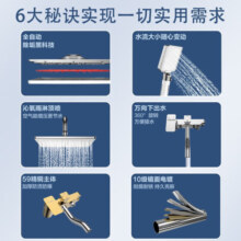 四季沐歌卫浴精铜龙头淋浴花洒套装增压喷头花洒全套双重自洁花洒套装