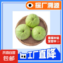 奶油白心红心芭乐 新鲜软糯低卡低热量轻食首先水果 1斤净重（白心）单果100g起