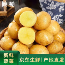 京鲜生&懒锄 山东黄皮小土豆净重2斤 新鲜挖采源头直发包邮