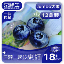 限移动端、京东百亿补贴：京鲜生 云南蓝莓 12盒装 果径18mm+ 新鲜水果礼盒 源头直发包邮