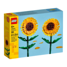 乐高（LEGO）玫瑰花40460 花束拼搭收藏款 女孩积木拼装玩具生日创意礼物 40646 水仙花