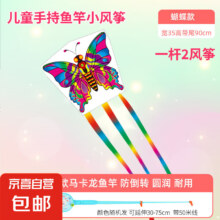 儿童手持鱼竿风2支+50米鱼竿