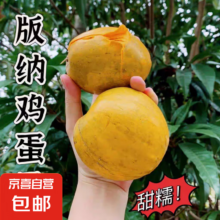 西双版纳鸡蛋果蛋黄果软糯香甜新鲜水果包邮【青皮放熟食用】 带箱半斤单果70g起