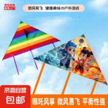 彩条彩虹风筝哪吒风筝 三角风筝+30米线 2个