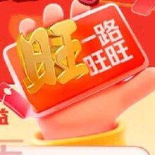 京东汽车 旺旺卡 含108元加油充电券包及40享出行娱乐权益
