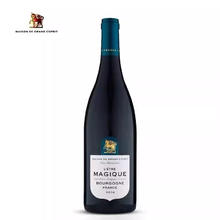 博尔迪 BOURDIEU 光之颂亿盛境系列 勃艮第红葡萄酒 750ml*1