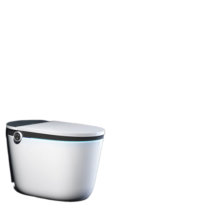 汉斯格雅（Hansgrohe）纯境智能马桶一体式即热坐便器（拍下30天发货） 22402007/305坑距