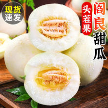 集年鲜 陕西阎良甜瓜 净重4.5斤