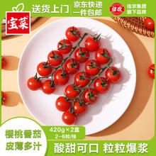 佳农 宝菜山东串收樱桃小番茄净重420克*2盒 水果西红柿源头直发
