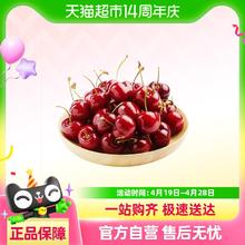 88VIP会员：喵满分 现摘现发大连美早樱桃国产车厘子