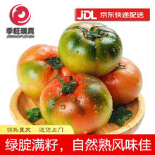 京地达 山东草莓西红柿 番茄 中果 5斤