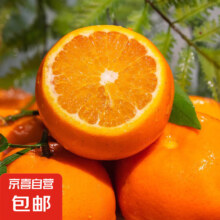 正宗云南沃柑  新鲜水果 带箱4斤装 单果55mm+ 沃柑
