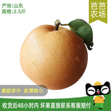 无品牌 山东烟台 南水梨 3粒单果400g或4粒单果300g