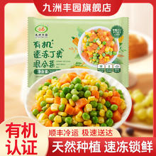 九洲丰园 有机丁类混合菜260g 任选4件