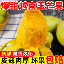 鲜福林 越南进口青皮芒果 净重4.5-4.7斤 单果200g+