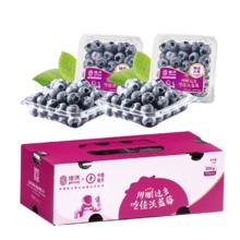 佳沃 云南蓝莓18mm+ 4盒装 约125g/盒 新鲜水果