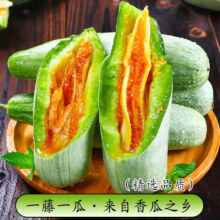 plus会员:京觅山东头茬羊角蜜甜瓜 净重2.5斤单果250g起 新鲜水果 源头直发