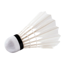 李宁（LI-NING）羽毛球专业比赛训练羽球飞行稳定耐打性高 G100羽毛球77速/ 1筒