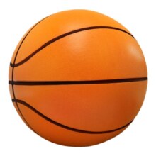 天降礼金：准者 静音篮球7号