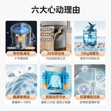 美的 波轮洗衣机全自动 家用12公斤 MB120V501B