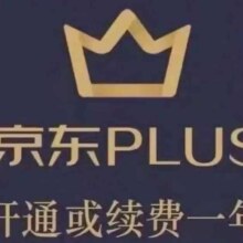 京东PLUS会员 12个月非兑换码直充续费