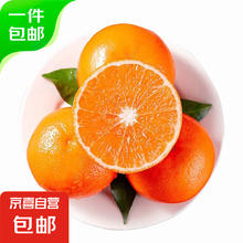 云南 高山沃柑 新鲜桔子 2.5斤 单果（55-60mm）
