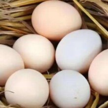 限今天：农家散养土鸡蛋 单枚50g±5g 10枚土鸡蛋