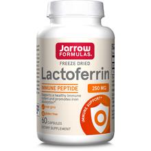 Jarrow FORMULAS 杰诺 益生素营养补充剂 增强免疫 60份胶囊装 无味 不含麸质 1件装 适合成人