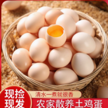 燕归谷 新鲜农家散养谷物蛋 20枚