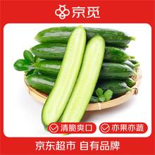 京觅 山东荷兰水果黄瓜 净重4斤 单果80g