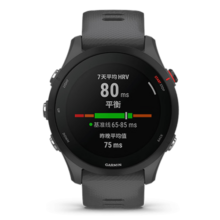 佳明（GARMIN）Forerunner255专业跑步户外运动智能手表多星定位心率血氧 神秘灰
