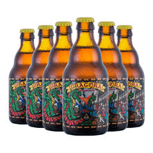 密码法师 Enigma 比利时精酿 猛龙之战啤酒330ml*6瓶 整箱装