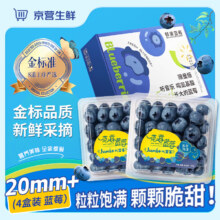 金标 云南花香蓝莓 特级果18mm+  100-125g/盒 4盒20.2元包邮
