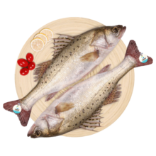 仙泉湖冷冻白蕉海鲈鱼2斤*1袋(2条装) 肉厚刺少地标海鲜水产生鲜食材