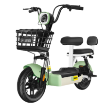 需首购：宝岛 新国标电动车 新款48V20A可上牌超长续航1299元（晒单赠20元红包或头盔）