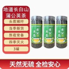 国存堂 蒲公英茶 40g*3罐