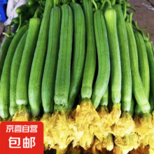山东长丝瓜 绿皮丝瓜 5斤 净重12.09元