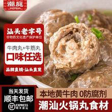 潮庭 潮州牛肉丸牛筋丸 火锅烧烤食材 新鲜非即食