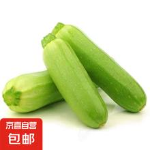 京喜 山东 新鲜西葫芦 2斤 带箱