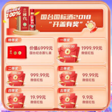 国台国标 2019年酿造 酱香型白酒 纯粮白酒 高度酒水 53度 500mL 2瓶 送礼袋