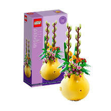 百亿补贴：乐高 LEGO 40588 别致花盆植物积木