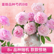REFLOWER 花点时间 山东重瓣品种芍药 混色16枝
