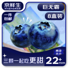 京鲜生 云南蓝莓 8盒22mm+装 125g/盒 生鲜水果 源头直发 包邮85元