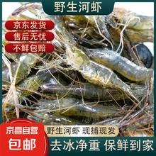 京喜 微山湖 小号河虾(2-3cm) 250g(净重)9.99元