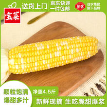 佳农 宝菜云南新鲜金银水果玉米可生吃单根200g以上净重4.5斤源头直发 可生吃金银水果玉米净重4.5斤